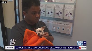Banfield aims to help curb veterinarian shortage with ‘NextVet’ program