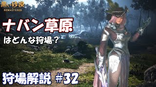 【黒い砂漠】ナバン草原のあるきかた【狩場解説 #32】