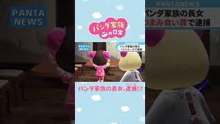 【あつ森アニメ】パンタニュース『パンダ家族の長女、○○罪で逮捕！？』#Shorts #あつ森　続きはコメント欄から👉