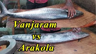 Difference between Vanjaram Vs Arakola||வஞ்சரம்மீன் அரக்கோலாமீன் துண்டுகளில் வித்தியாசம்   தெரியுமா?