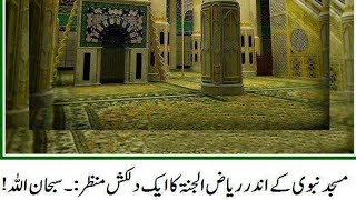 Madina Riyadh ul jannah ki ziyarat |  riyaz ul jannah ladies live | masjid_e_nabavi visit