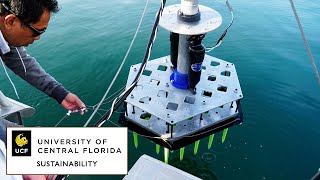 A Sustainable Future at UCF | The College Tour