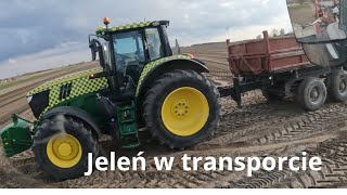 John Deere z Agro Sharing w transporcie, zbieranie kamieni ruszyło pełną parą