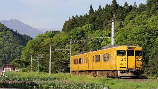 115系電車～伯備線根雨