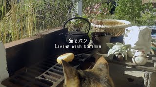 猫とパン　焚き火と暮らす Living with bonfire｜ナチュラルライフ｜natural lifestyle ｜環境音｜ASMR