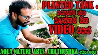 Amazing Aqua plants farm in sri lanka Aqua plants  ගැන සිංහලෙන් හැමදේම) බලන්නම ඕන video එකක් farm