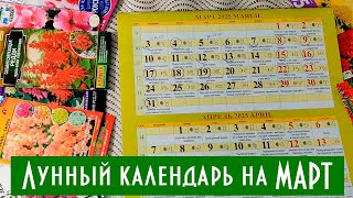 Что когда посеять и посадить в марте! Лунный календарь март 2025 Лучшие дни посадки