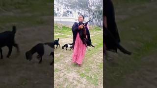 তো চলুন গি 😀😂#shortvideo #fanuy #video #dance #😀😂😂💃💃