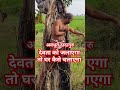 देवता को जलाकर घर कहाँ से चलेगा मुझे जलाना बंद करो dadaguru reels shorts sanatan trending save