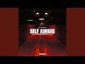 Self Aware - TECHNO