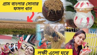 গ্ৰামের নবান্ন উৎসব করলাম village simple vlog @RoniTiya #bengali #vlog #ronitiyavlogs #villagelife