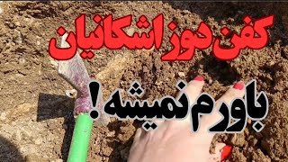 کشف ابزار باستانی:قاشق و کفن دوز... اشکانیان