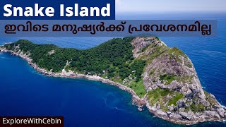 പാമ്പുകൾക്ക് മാത്രമായി ഒരു ദ്വീപ് | Snake Island of Brazil | Most Dangerous Island