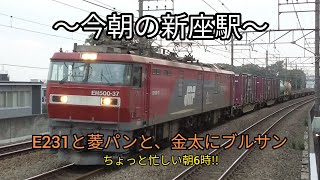 2021.9.22 武蔵野線【E231】【菱パン】【金太郎】【ブルサン】今朝の新座駅はちょっと忙しい午前6時!!