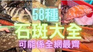 石斑總結大全(鮨科 ),全網最多最齊,睇下大家認得幾多?~fishcutting香港海鮮~社長遊街市Seafood