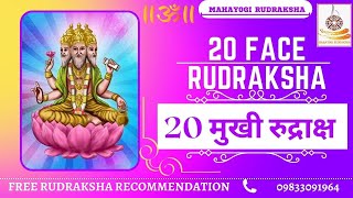 20 MUKHI RUDRAKSHA BENEFITS | 20 मुखी रुद्राक्ष #twentymukhirudraksha #mahayogirudraksha #rudraksha