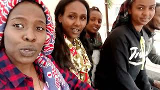 English part 2 ጉዕዞ ምስ ለሚ፣ሓረግ፣ሊዱ...by the hores ጃሙየ subscrib ላገበርና