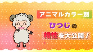 【動物占い】ひつじのアニマルカラー別相性を大公開！