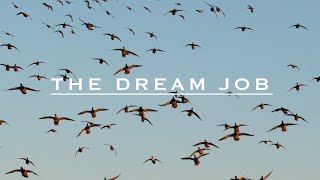 Cold Weather Mallard Feed | The Dream Job Season 4 Episode 15