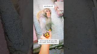🚩जय श्री राम 🥰#stories #viralvideo #1mviews #trending #video #subscribe ##monkey