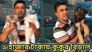 Long Court German Shepherd Dog | Persian Cat Price in Bangladesh | Pretty birds Mamun