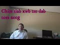 Chim siab xwb tso dab tom neeg. 06/16/2021