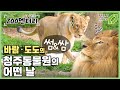 바람이 도도 합사 성공했ZOO! 썸일까? 쌈일까?  바람이와 도도의 썸&쌈