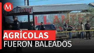 Asesinan a cuatro trabajadores agrícolas en Caborca, Sonora