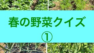 春の野菜クイズ　①   【脳トレ】　【高齢者施設など】2023年作成　レクリエーション用　春野菜　畑　５月の花　６月の花　春を感じるお花