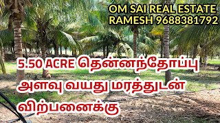 531) 5.50 acre beautiful small age tree farm land for sale in Pollachi area