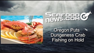 Oregon Puts Dungeness Crab Fishing on Hold