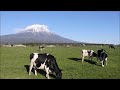 asagiri highland in shizuoka japan mt.fuji