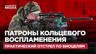 Патроны кольцевого воспламенения: практический отстрел по биоцелям