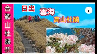 4K轉角遇到好風景( 合歡山杜鵑花，合歡主峰，合歡東峰，甘鳳池）