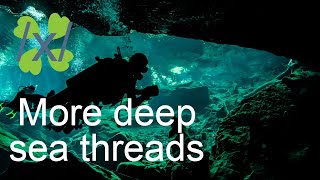 Chan story - /x/ - More Deep sea threads