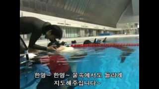 Freediving_체험 AFIA