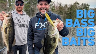 Catching Bigger Bass on BIG Baits!