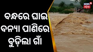 Odisha Weather Update | ବନ୍ଧରେ ଘାଇ, ବନ୍ୟା ପାଣିରେ ବୁଡ଼ିଲା ଗାଁ|Odisha Flood News|Puri Nimapara Flood