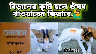 বিড়ালের কৃমি হলে কি খাওয়াবেন || What to feed if the cat has worms || বিড়ালকে ঔষধ খাওয়ানোর সঠিক নিয়ম