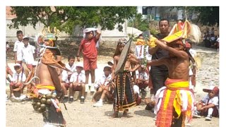 Puncak Tarian Caci dari anak2 SDN Malawatar dlm rangka HGN 2024 dan HUT PGRI ke 79