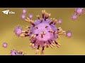 car t cell therapy how does it work