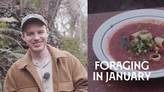 What to Forage in January? | Week 1 - Nettle Soup Recipe 🥣 🌱