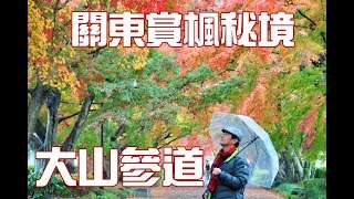 【關東賞楓】東京近郊賞楓秘境~大山參道