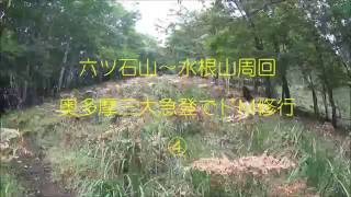 六ツ石山～水根山周回・奥多摩三大急登でドＭ修行４六ツ石山＠東京都奥多摩町