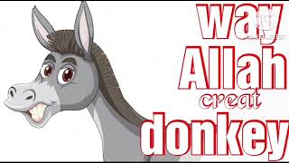 way did Allah create donkey#viral