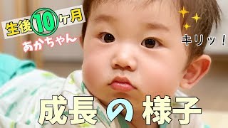 生後10ヶ月の赤ちゃんの成長の様子【育児】10 Month Baby Growth \u0026 Development Stages