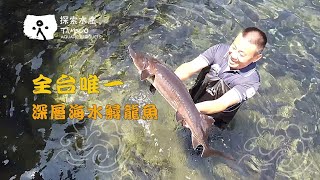 有專利認證的深層海水鱘龍魚_探索水產