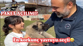 SÜPRiZ PAKET AÇILIMI HEDİYE TAVUKLAR GELDİ YAVRUMUZU AYŞEĞÜL SAHİPLENDİ