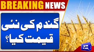 Shocking Truth Behind Soaring Wheat Prices | Breaking News | Dunya News