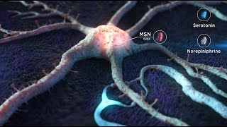 Medical Animation Reel 2023